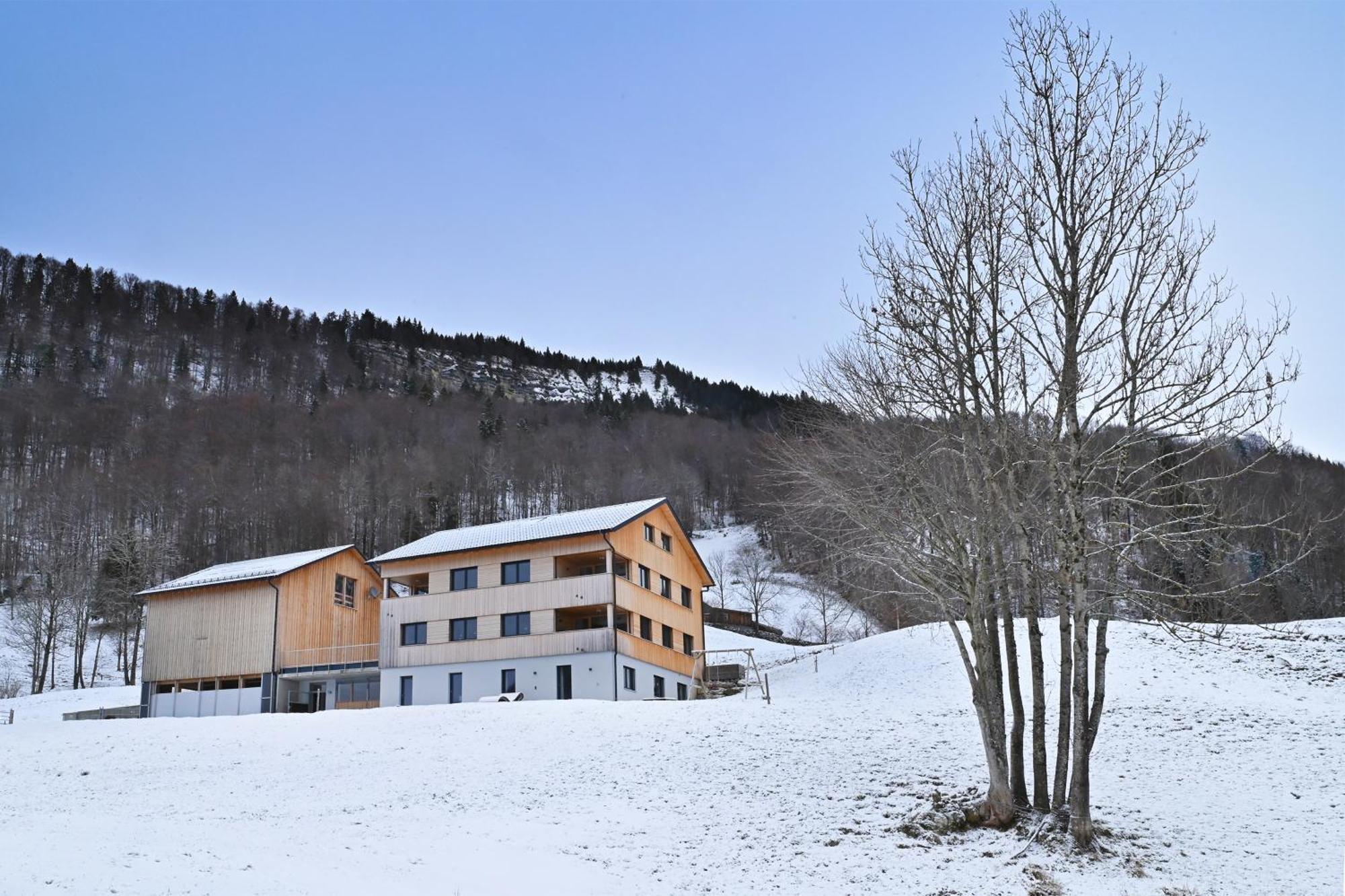 Panoramahof Bergglueck Leilighet Mellau Eksteriør bilde